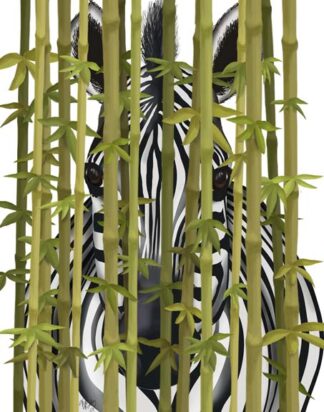 Bamboo Zebra