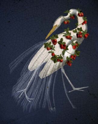 Bound White Heron on blue