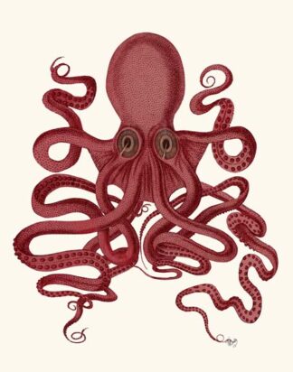 Octopus 9, Red