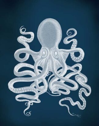 Octopus 9, White
