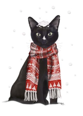 Black Cat, Red Scarf