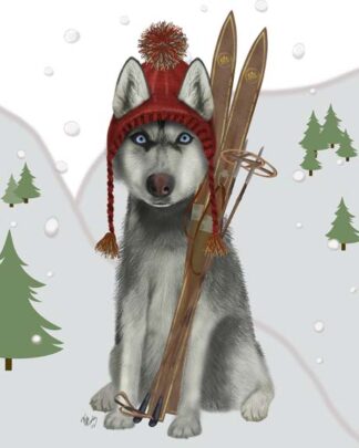 Husky Skiing