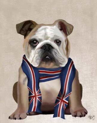 English Bulldog with Scarf