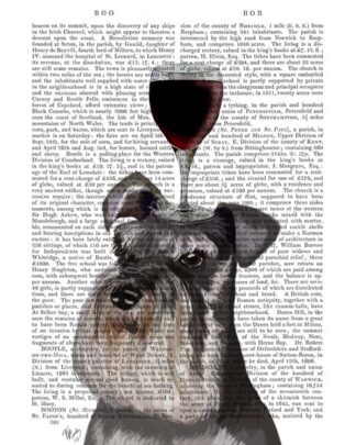 Dog Au Vin, Schnauzer