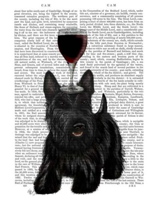 Dog Au Vin, Scottish Terrier