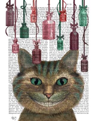 Cheshire Cat and Bottles