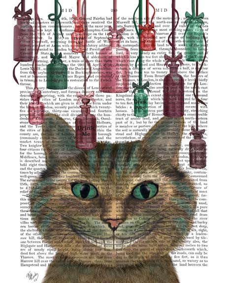Cheshire Cat and Bottles