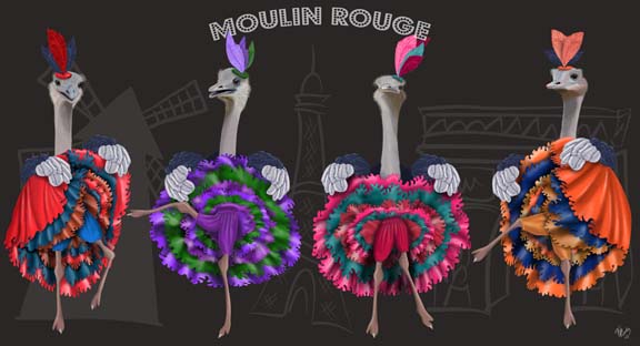 Ostrich, Can Can Troupe