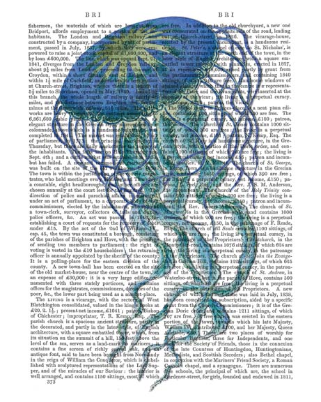 Blue Jellyfish 1
