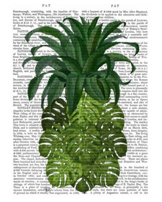 Pineapple, Monstera Leaf