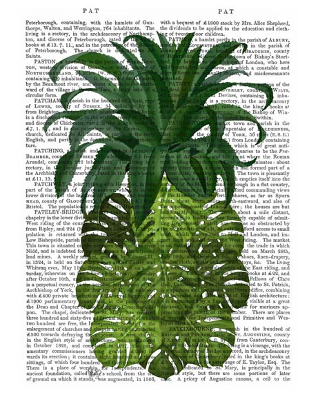 Pineapple, Monstera Leaf
