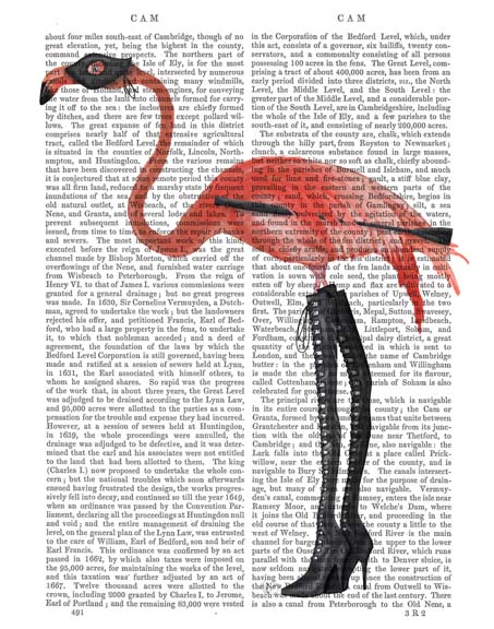 Flamingo with Kinky Boots