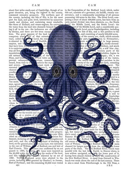 Octopus 9, Blue
