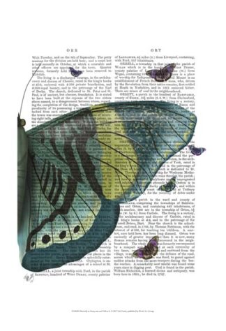 Butterfly in Turquoise and Yellow b