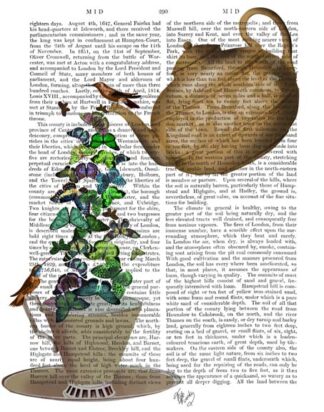 Teapot, Cup and Butterflies