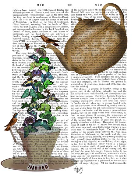 Teapot, Cup and Butterflies