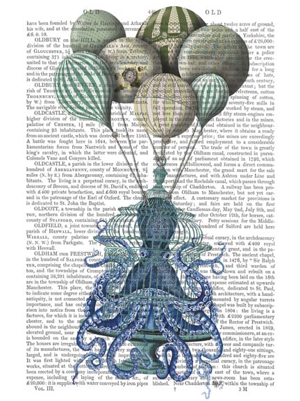 Octopus Cage and Balloons