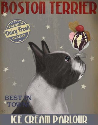 Boston Terrier Ice Cream