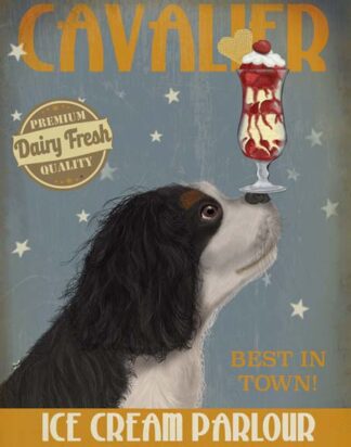 Cavalier King Charles, Black White, Ice Cream