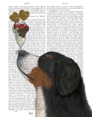 Bernese Ice Cream