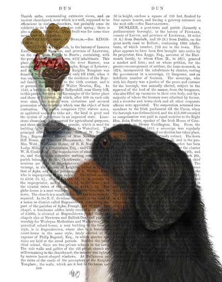 Bernese Ice Cream