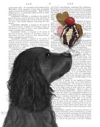 Cocker Spaniel, Black, Ice Cream