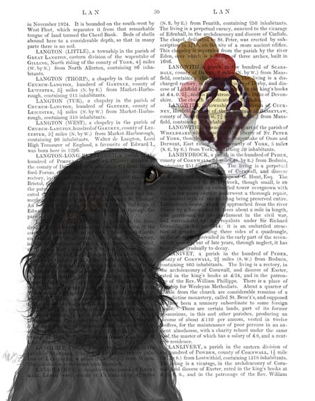 Cocker Spaniel, Black, Ice Cream