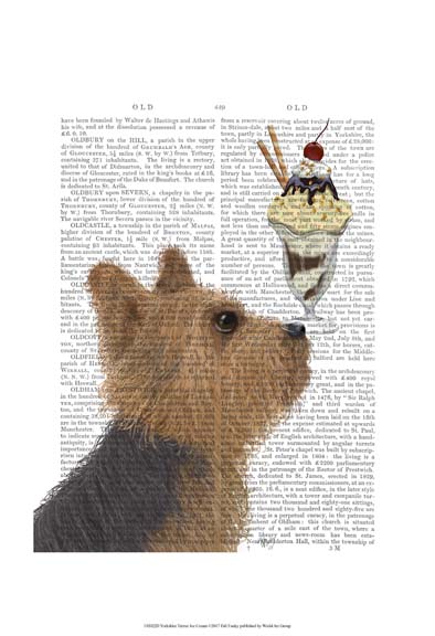 Yorkshire Terrier Ice Cream