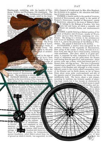 Basset Hound on Bicycle