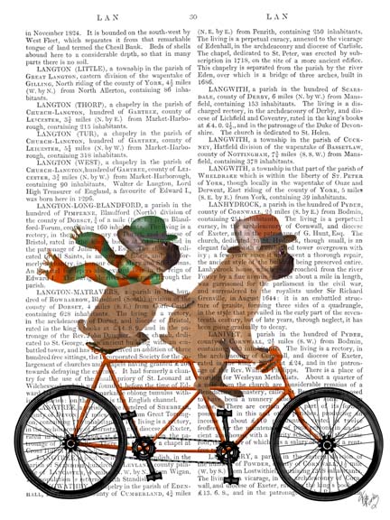 French Bulldog Tandem