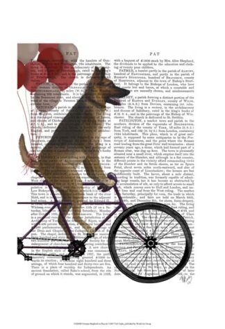 German Shepherd on Bicycle