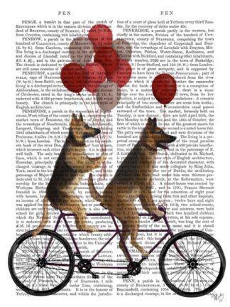 German Shepherd Tandem