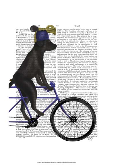 Black Labrador on Bicycle
