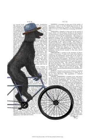 Poodle on Bicycle, Black