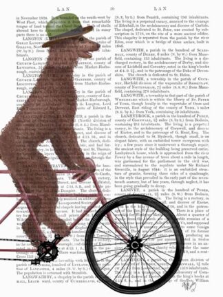 Poodle on Bicycle, Brown