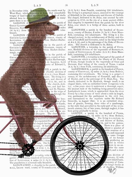 Poodle on Bicycle, Brown