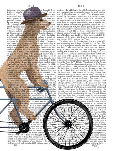 Poodle on Bicycle, Cream