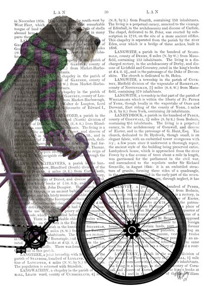 Schnauzer on Bicycle, Grey