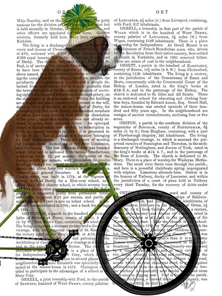 St Bernard on Bicycle