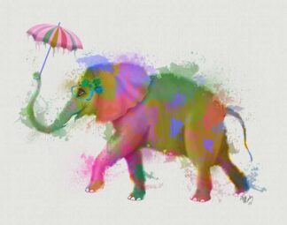 Rainbow Splash Elephant