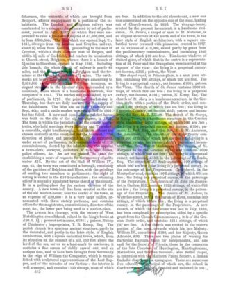 Rainbow Splash Flamingo 1