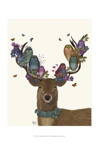 Deer Birdkeeper, Owls