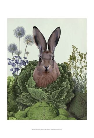 Cabbage Patch Rabbit 1