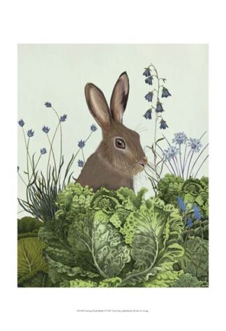 Cabbage Patch Rabbit 2