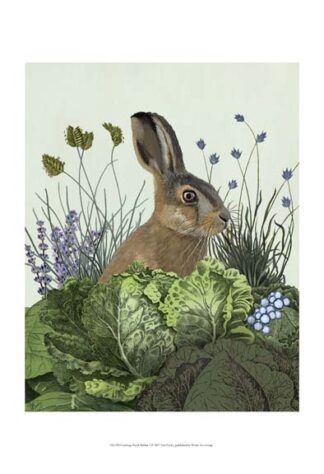 Cabbage Patch Rabbit 3