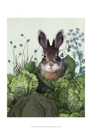 Cabbage Patch Rabbit 4