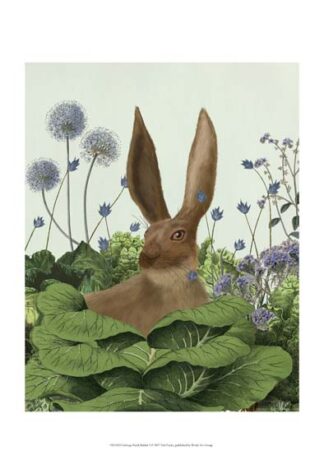 Cabbage Patch Rabbit 5