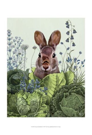 Cabbage Patch Rabbit 6