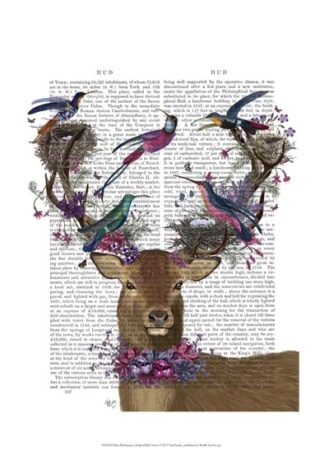 Deer Birdkeeper, Tropical Bird Nests