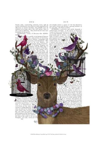 Deer Birdkeeper, Tropical Bird Cages